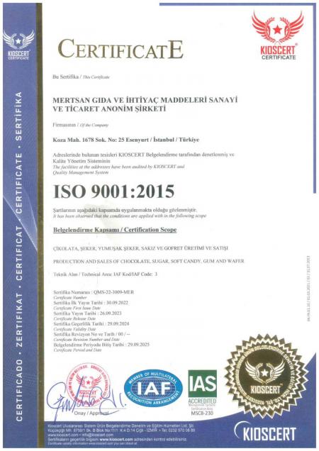  Iso 9001